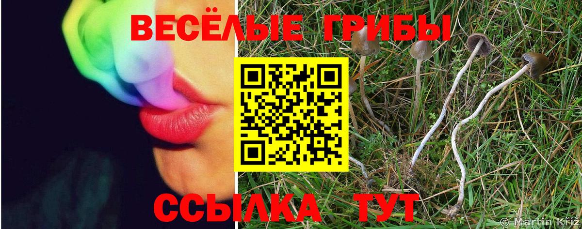 Псилоцибиновые грибы мухоморы  Галлюциногенные грибы мицелий  Вход с VPN  Нововоронеж 